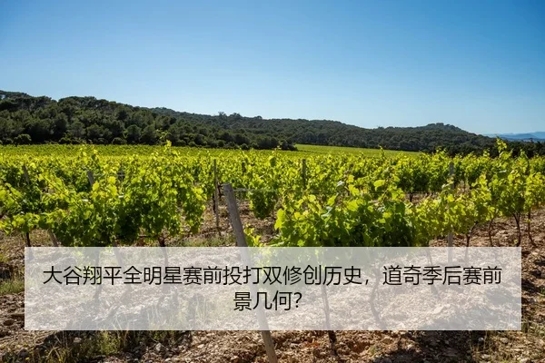 大谷翔平全明星赛前投打双修创历史，道奇季后赛前景几何？