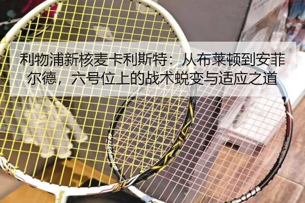 li-wu-pu-xin-he-mai-ka-li-si-te-cong-bu-lai-dun-dao-an-fei-er-de-liu-hao-wei-shang-de-zhan-shu-tui-bian-yu-shi-ying-zhi-2-321.jpg