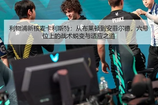 利物浦新核麦卡利斯特：从布莱顿到安菲尔德，六号位上的战术蜕变与适应之道